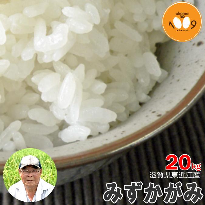 新米 玄米 20kg 滋賀県東近江産 みずかがみ 諏訪一男 令和7年産