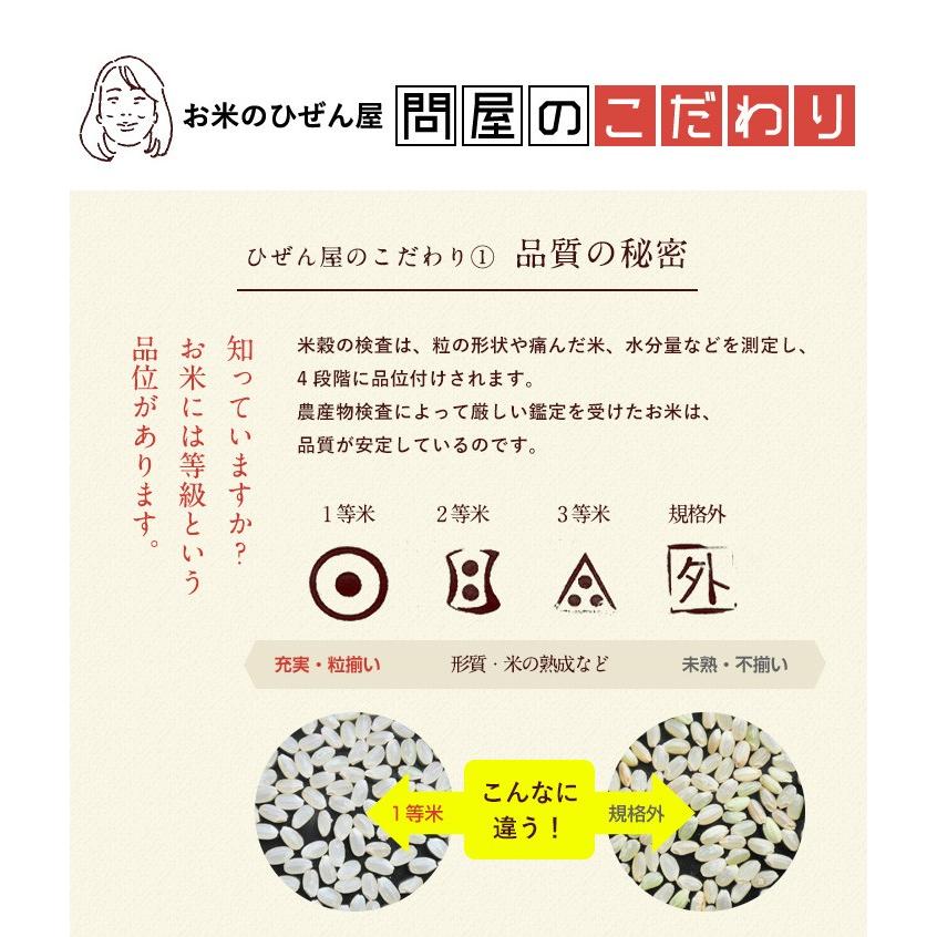 夢しずく 令和7年産 米 お米 10kg 送料無料 佐賀県産 5kg×2袋 : お米の