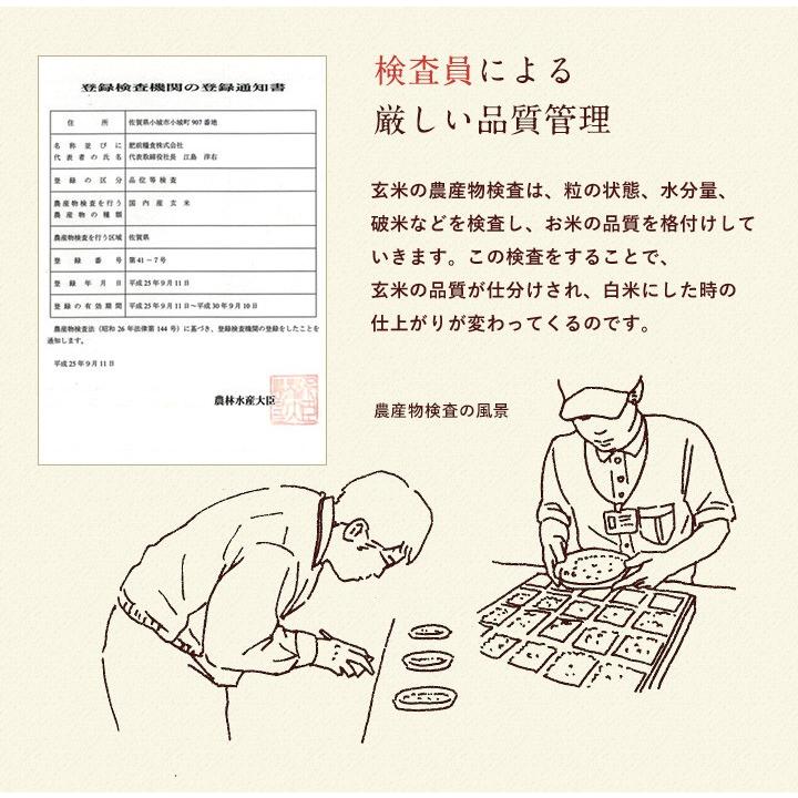 夢しずく 新米 令和8年産 米 お米 10kg 送料無料 佐賀県産 5kg×2袋
