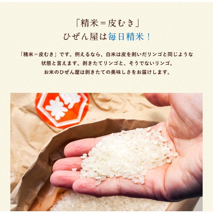 新米 早割価格 米 お米  送料無料 夢しずく 佐賀県産 ×2