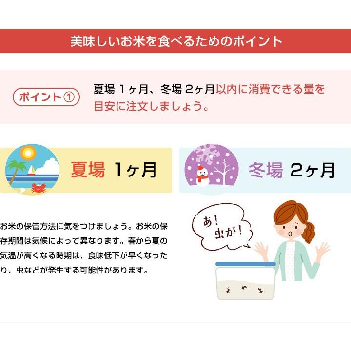 夢しずく 令和7年産 米 お米 10kg 送料無料 佐賀県産 5kg×2袋 : お米の