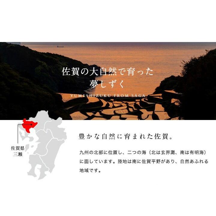 夢しずく 令和7年産 米 お米 2kg 送料無料 佐賀県産 2kg : お米のひ