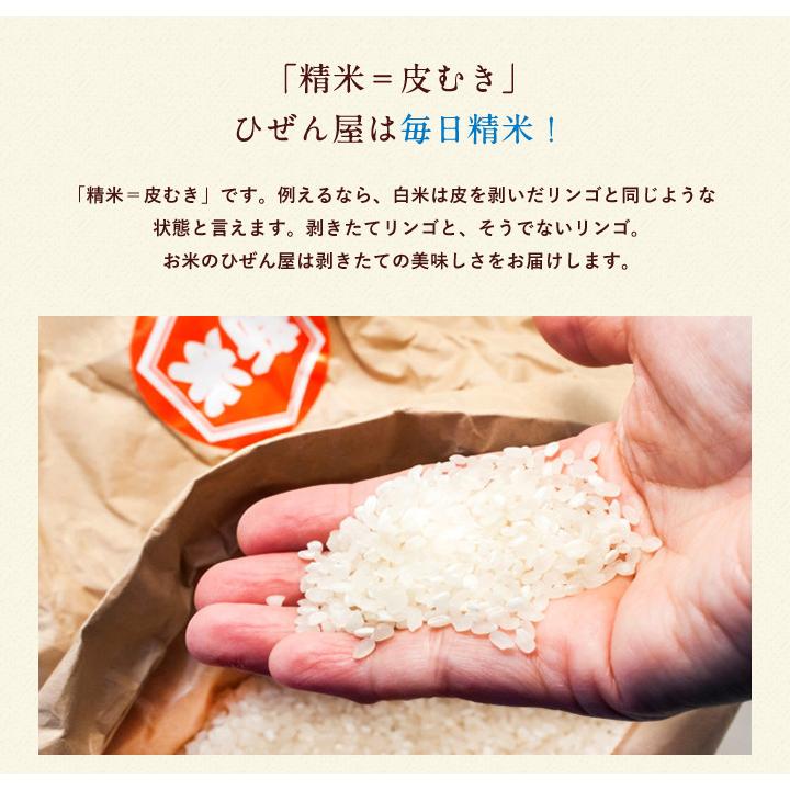 お米 10kg（5kg×2） 送料無料 ひなたまる 佐賀県産 令和7年度 : お米の