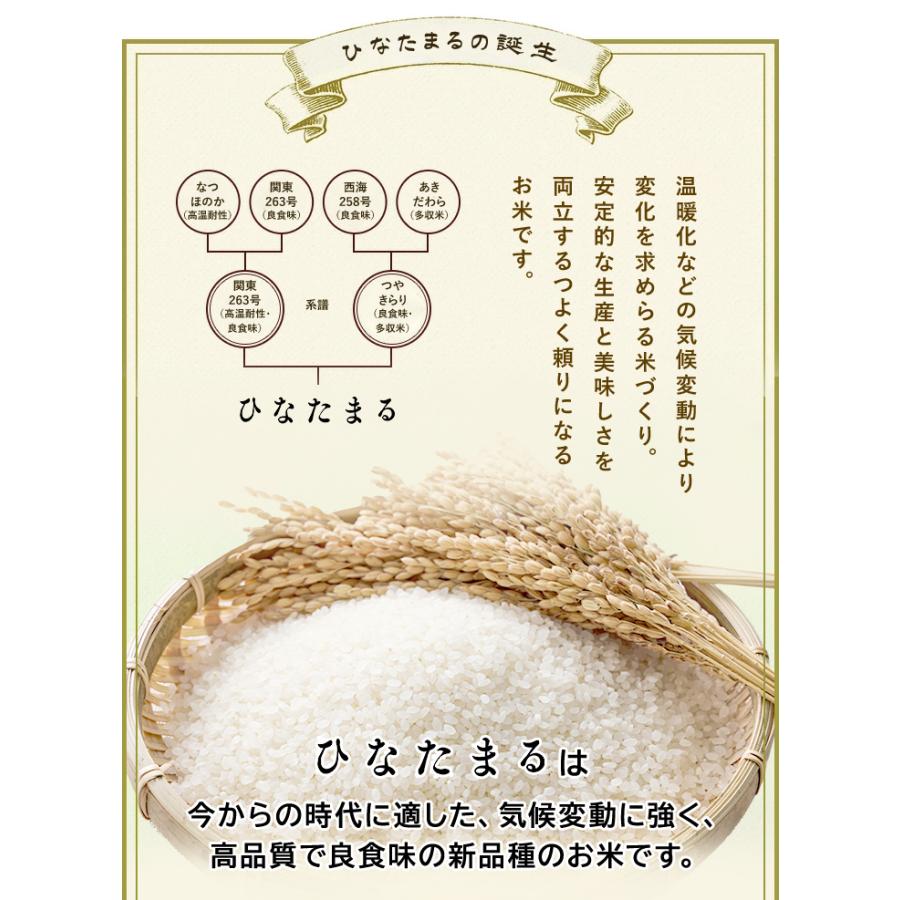 お米 10kg（5kg×2） 送料無料 ひなたまる 佐賀県産 令和7年度 : お米の