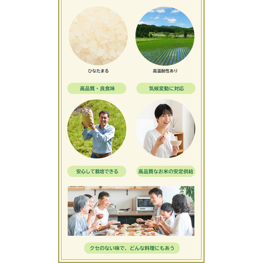 お米 2kg 送料無料 ひなたまる 佐賀県産 令和7年度 : お米のひぜん屋