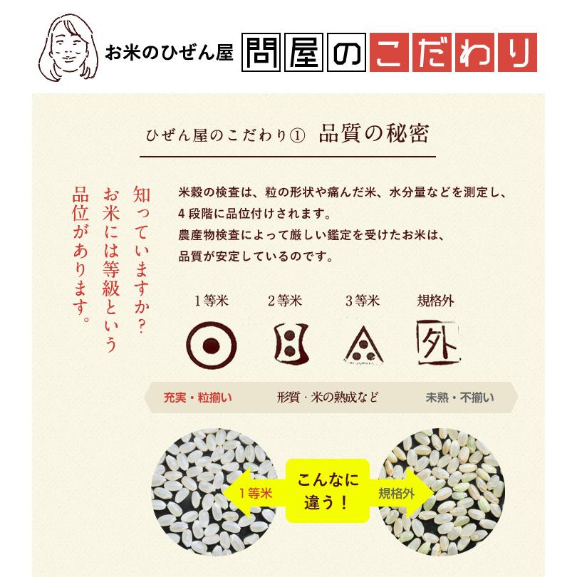 お米 2kg 送料無料 ひなたまる 佐賀県産 令和7年度 : お米のひぜん屋