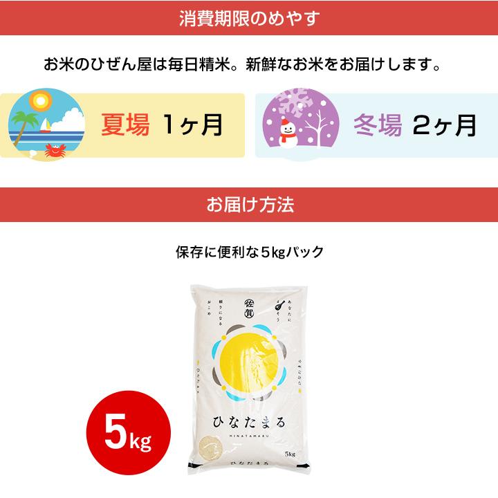 お米 5kg 送料無料 ひなたまる 佐賀県産 令和7年度 : お米のひぜん屋 