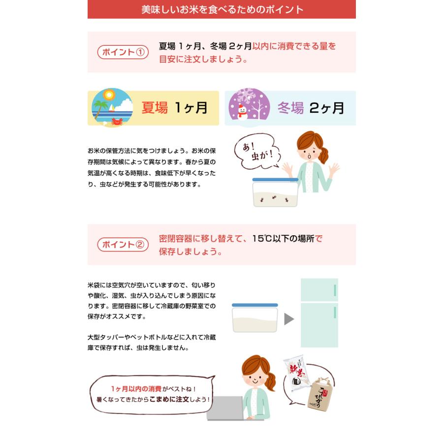 ヒノヒカリ 米 お米 10kg 送料無料 佐賀県産 令和6年度 5kg×2袋 ヒノヒカリ 米 お米 10kg 送料無料 佐賀県産 令和6年度 5kg×2袋