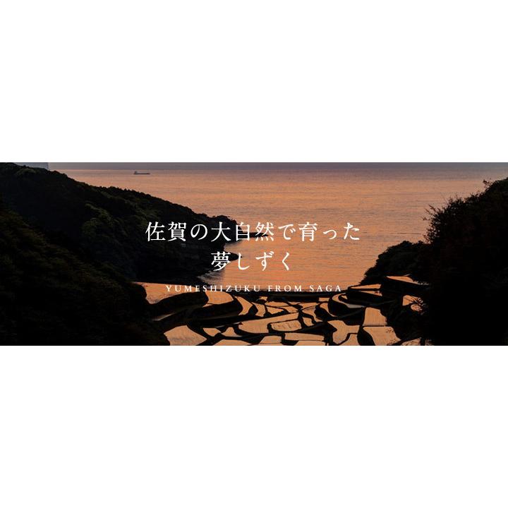 夢しずく 令和7年産 米 お米 10kg 送料無料☆夢しずく 無洗米☆ 佐賀県