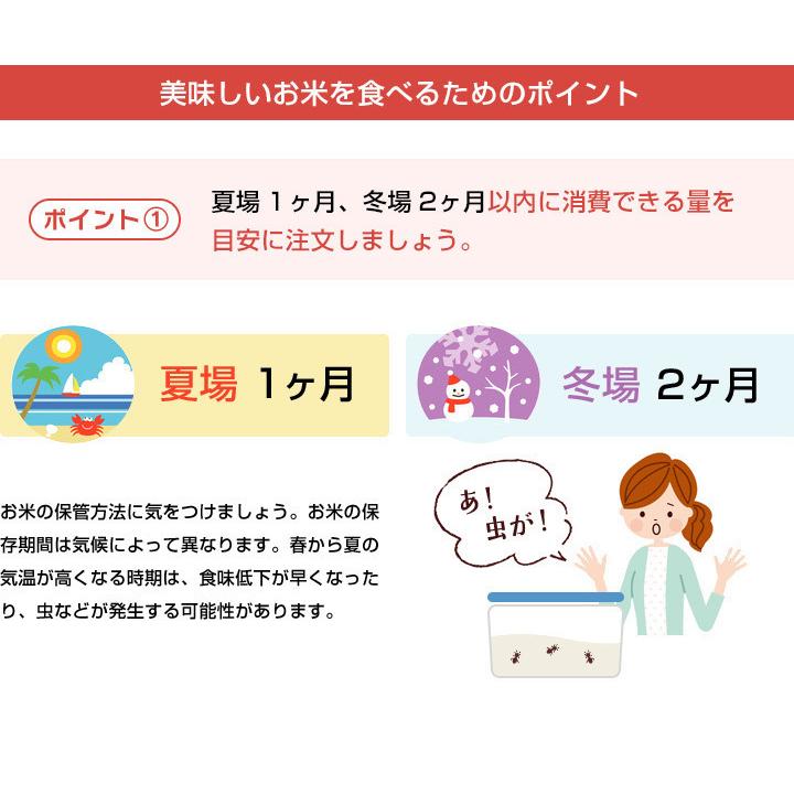 米 お米 2kg 送料無料★夢しずく 無洗米★ 佐賀県産　令和5年度 2kg｜okomenohizenya｜21