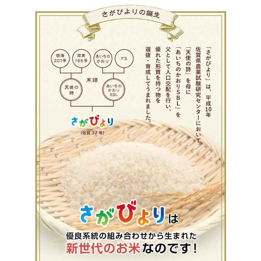 お米 10kg さがびより 佐賀県産 令和5年産 5kg×2袋｜okomenohizenya｜06