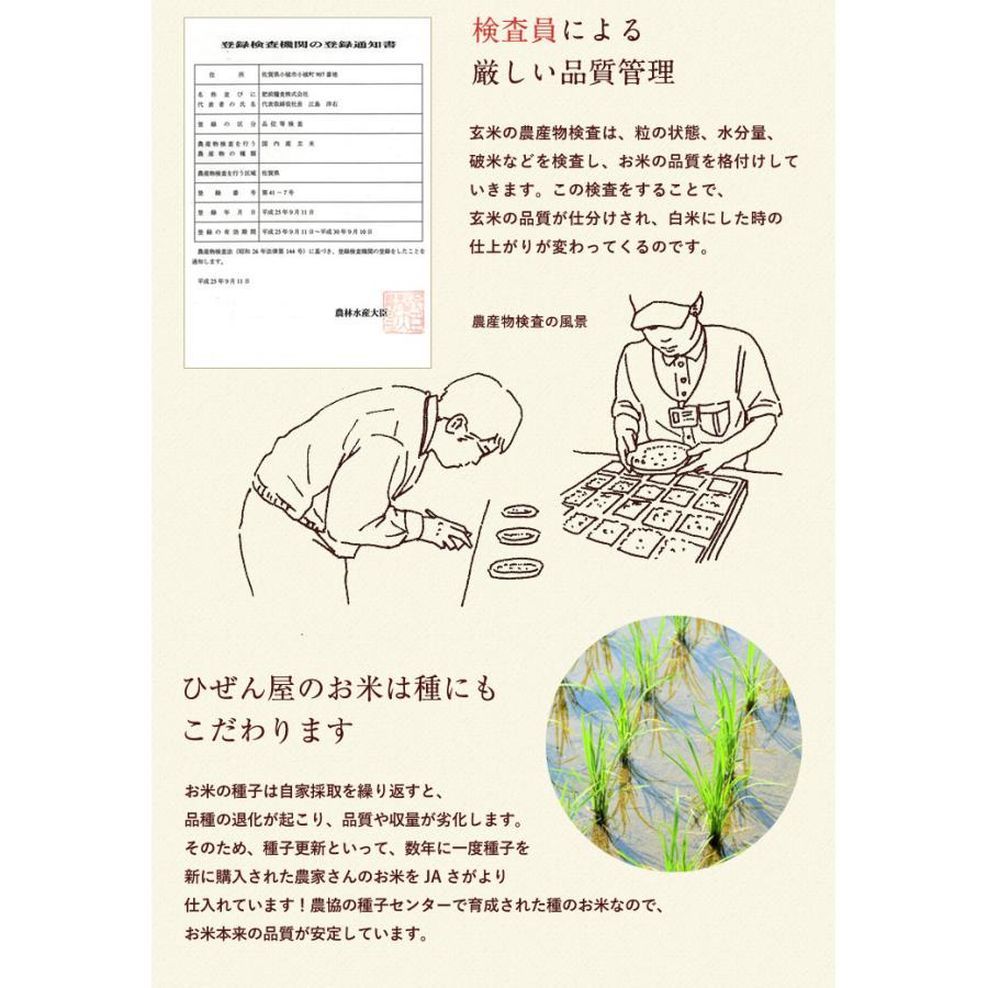 さがびより お米 10kg 佐賀県産 令和7年産 5kg×2袋 : お米のひぜん屋