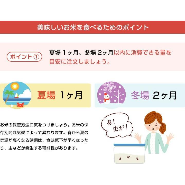 お米 2kg 送料無料 さがびより 佐賀県産　令和5年度 2kg｜okomenohizenya｜19