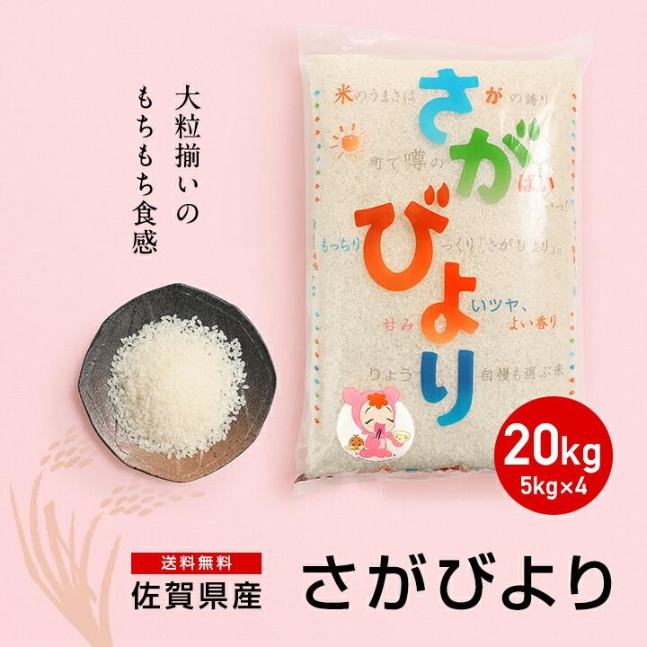 さがびより お米 20kg 送料無料 佐賀県産 令和7年度 5kg×4袋 : お米の
