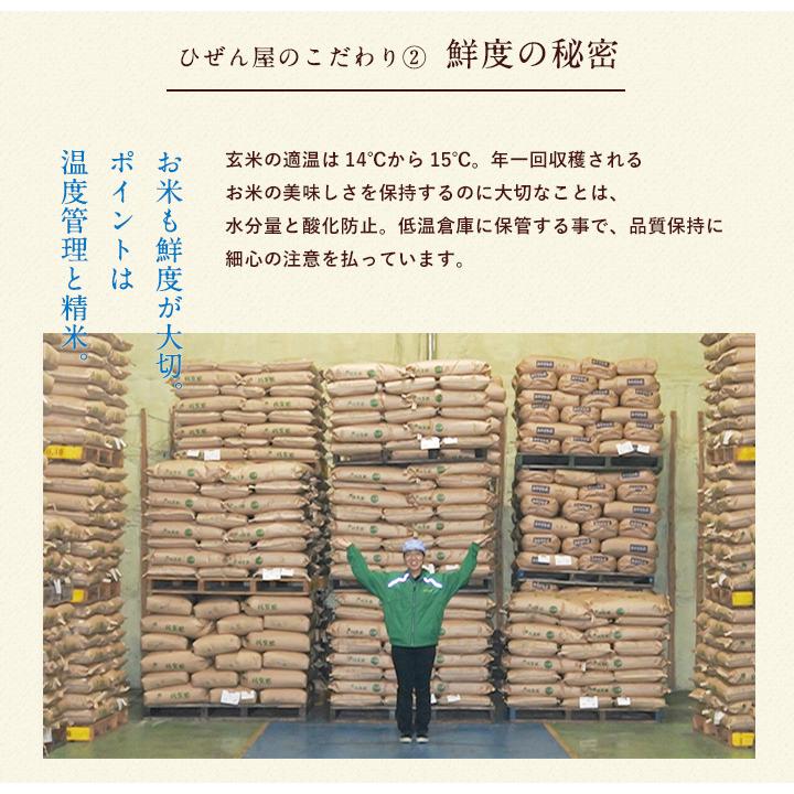 さがびより お米 20kg 送料無料 佐賀県産 令和7年度 5kg×4袋 : お米の