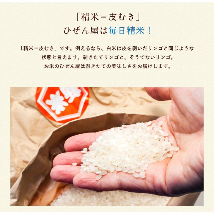 さがびより お米 20kg 送料無料 佐賀県産 令和7年度 5kg×4袋 : お米の