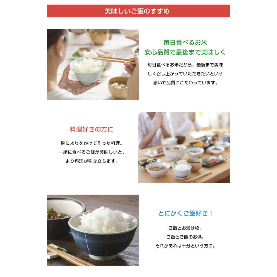 さがびより お米 20kg 送料無料 佐賀県産 令和7年度 5kg×4袋 : お米の