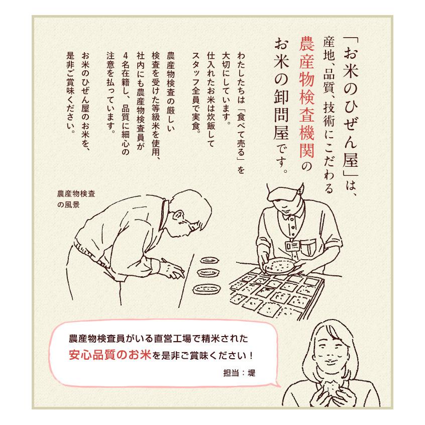 さがびより お米 20kg 送料無料 佐賀県産 令和7年度 5kg×4袋 : お米の