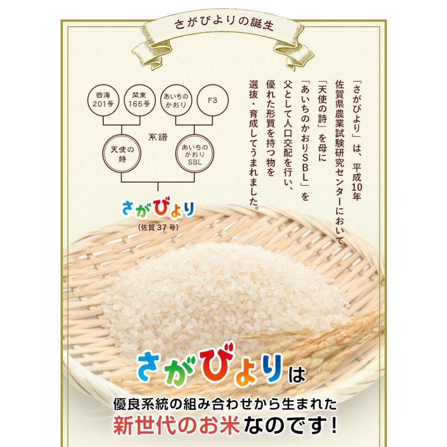 さがびより お米 20kg 送料無料 佐賀県産 令和7年度 5kg×4袋 : お米の