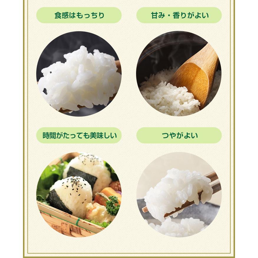 さがびより お米 20kg 送料無料 佐賀県産 令和7年度 5kg×4袋 : お米の