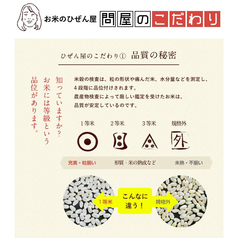 さがびより お米 20kg 送料無料 佐賀県産 令和7年度 5kg×4袋 : お米の