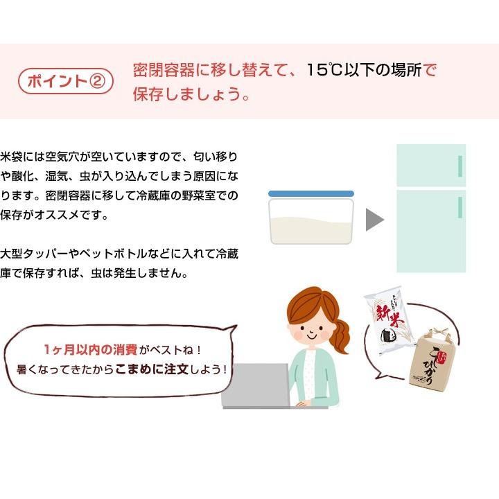 令和7年産 佐賀県【脊振棚田米】白米10kg(5kg×2袋) 【送料無料】/お米