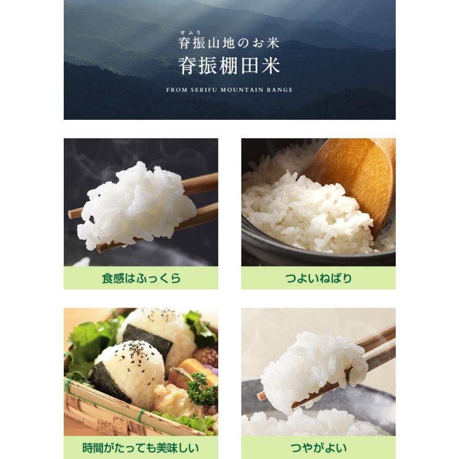 令和7年産 佐賀県【脊振棚田米】白米10kg(5kg×2袋) 【送料無料】/お米