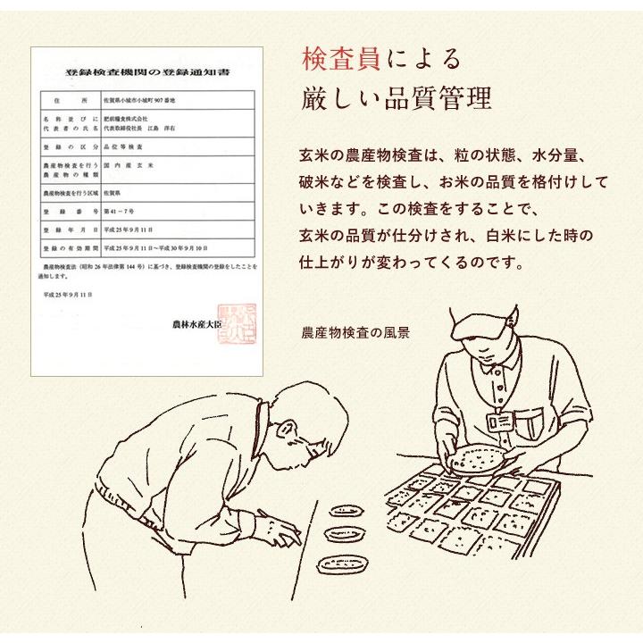 7年産 佐賀県【脊振棚田米】白米20kg(5kg×4袋)【送料無料】/お米/米