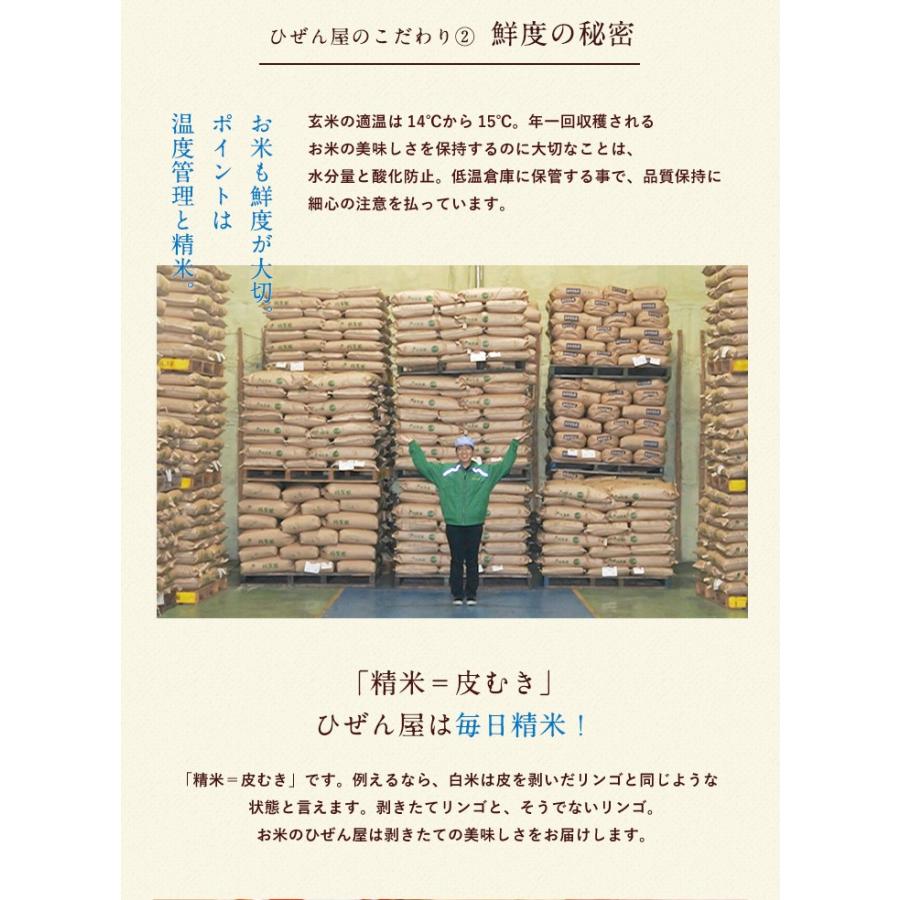 7年産 佐賀県【脊振棚田米】白米20kg(5kg×4袋)【送料無料】/お米/米