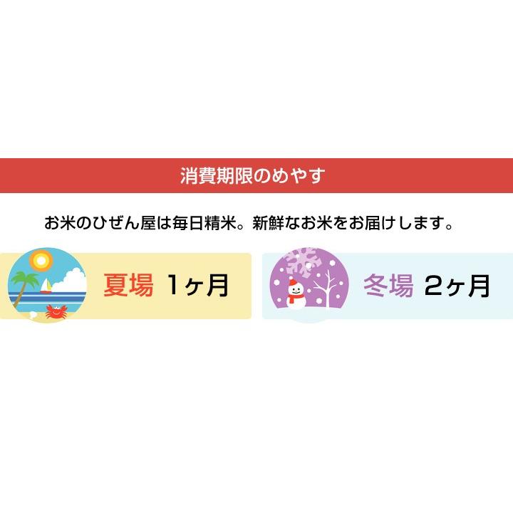 7年産 佐賀県【脊振棚田米】白米20kg(5kg×4袋)【送料無料】/お米/米