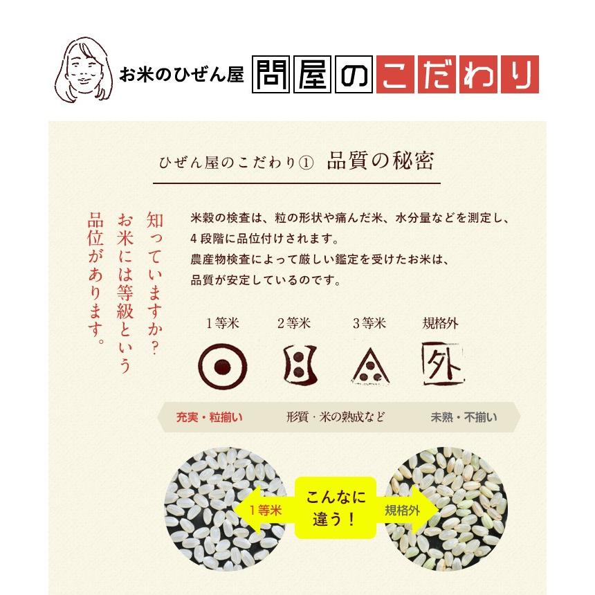 7年産 佐賀県【脊振棚田米】白米20kg(5kg×4袋)【送料無料】/お米/米