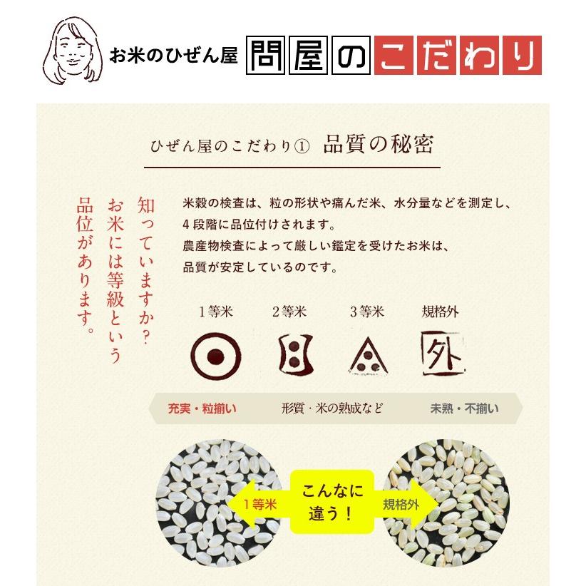 【新米】【8年産】佐賀県産 七夕コシヒカリ10kg（5kg×2袋)【米10kg 送料無料】【お米 10kg 送料無料】 | コシヒカリ | 10