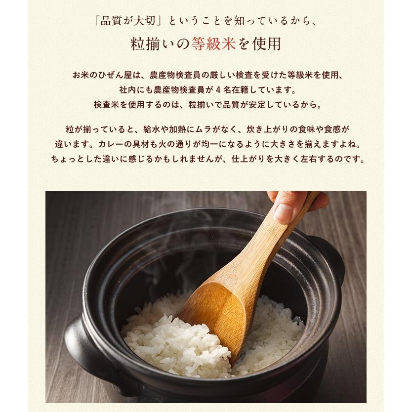 【新米】【8年産】佐賀県産 七夕コシヒカリ10kg（5kg×2袋)【米10kg 送料無料】【お米 10kg 送料無料】 | コシヒカリ | 11