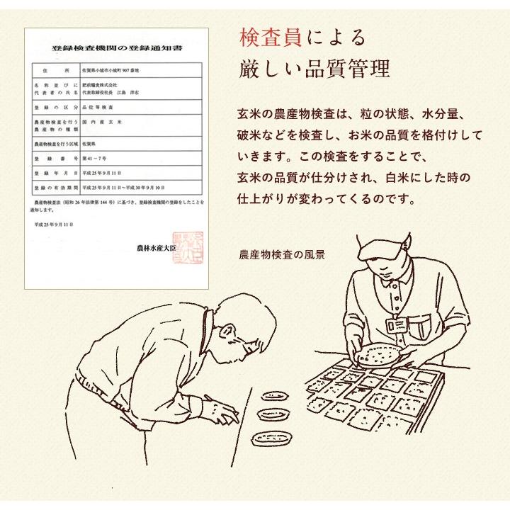 【新米】【8年産】佐賀県産 七夕コシヒカリ10kg（5kg×2袋)【米10kg 送料無料】【お米 10kg 送料無料】 | コシヒカリ | 12