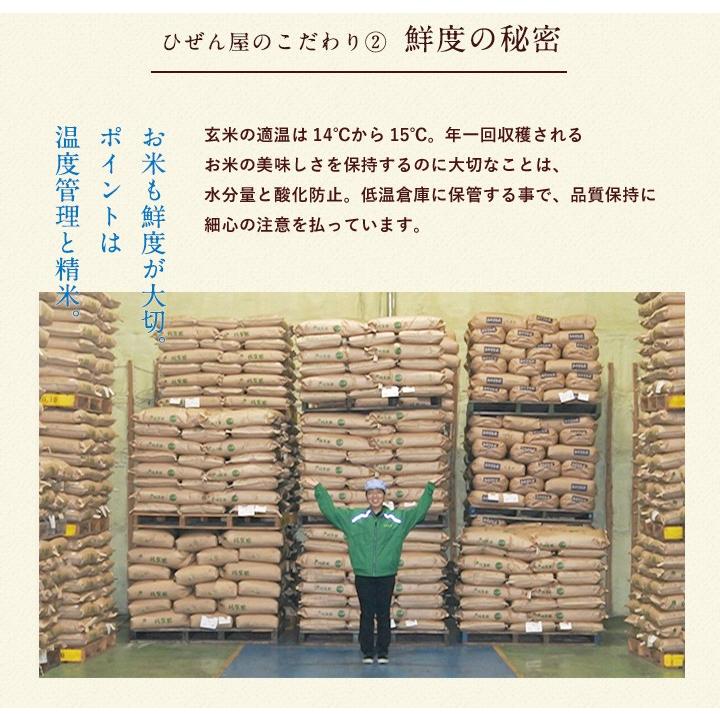 【新米】【8年産】佐賀県産 七夕コシヒカリ10kg（5kg×2袋)【米10kg 送料無料】【お米 10kg 送料無料】 | コシヒカリ | 13