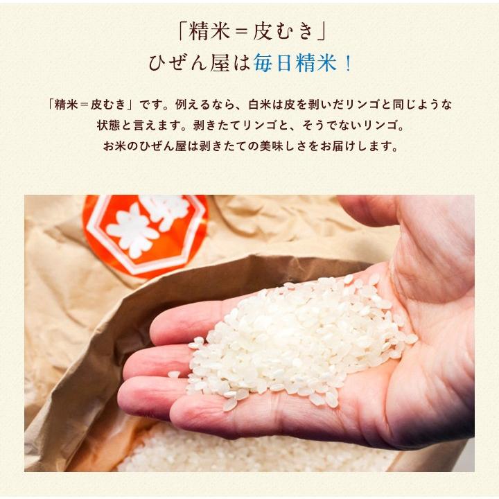 【新米】【8年産】佐賀県産 七夕コシヒカリ10kg（5kg×2袋)【米10kg 送料無料】【お米 10kg 送料無料】 | コシヒカリ | 14
