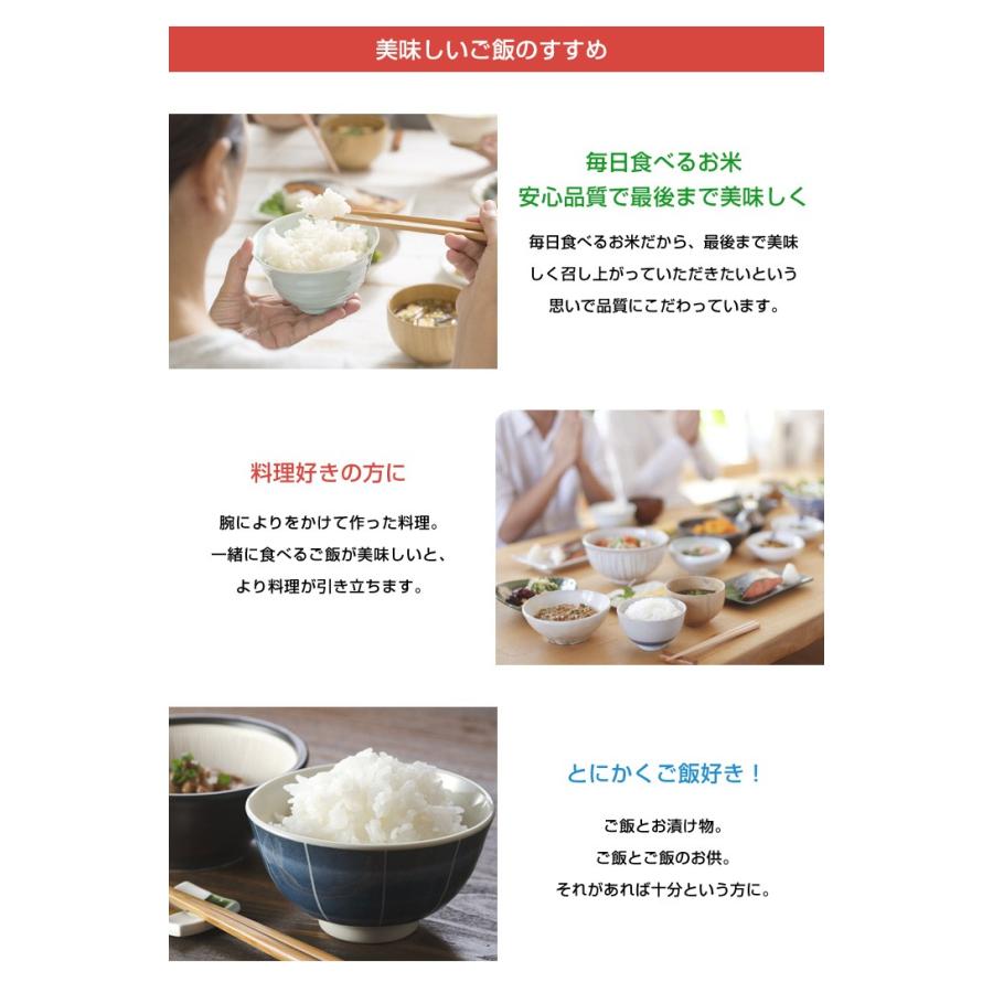 【新米】【8年産】佐賀県産 七夕コシヒカリ10kg（5kg×2袋)【米10kg 送料無料】【お米 10kg 送料無料】 | コシヒカリ | 18