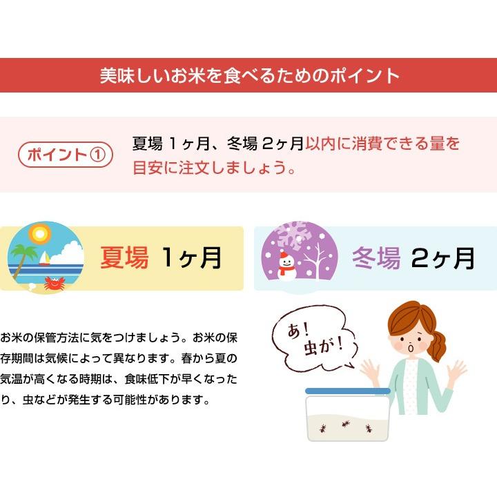【新米】【8年産】佐賀県産 七夕コシヒカリ10kg（5kg×2袋)【米10kg 送料無料】【お米 10kg 送料無料】 | コシヒカリ | 19