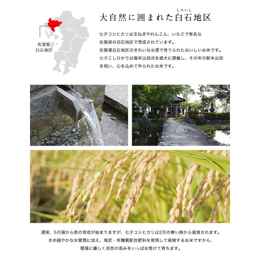 【新米】【8年産】佐賀県産 七夕コシヒカリ10kg（5kg×2袋)【米10kg 送料無料】【お米 10kg 送料無料】 | コシヒカリ | 02
