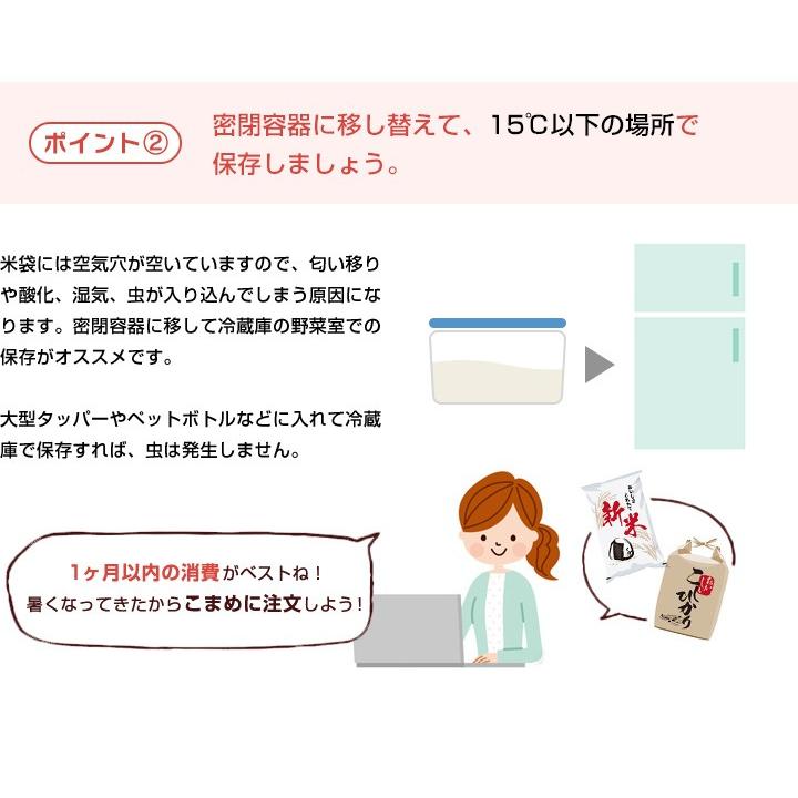【新米】【8年産】佐賀県産 七夕コシヒカリ10kg（5kg×2袋)【米10kg 送料無料】【お米 10kg 送料無料】 | コシヒカリ | 20