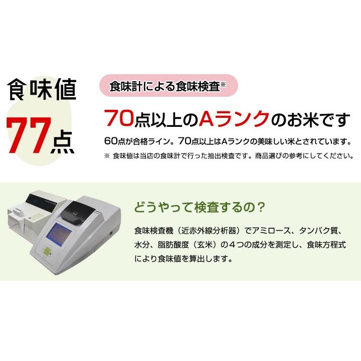 【新米】【8年産】佐賀県産 七夕コシヒカリ10kg（5kg×2袋)【米10kg 送料無料】【お米 10kg 送料無料】 | コシヒカリ | 07