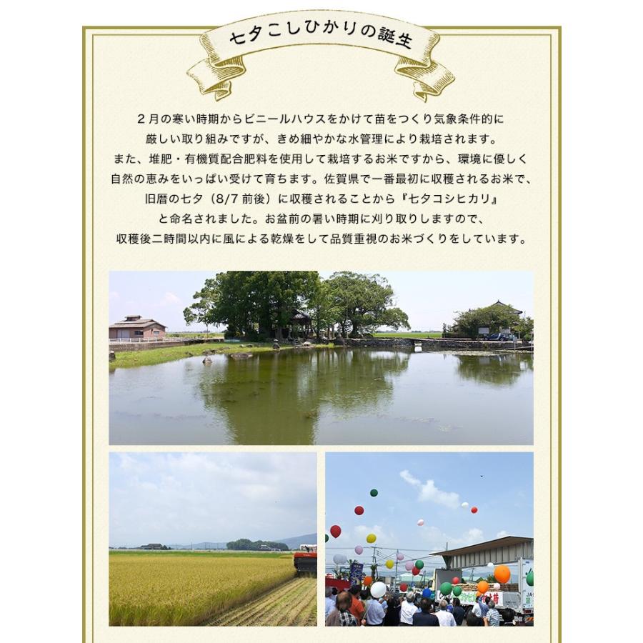 【新米】【8年産】佐賀県産 七夕コシヒカリ10kg（5kg×2袋)【米10kg 送料無料】【お米 10kg 送料無料】 | コシヒカリ | 08