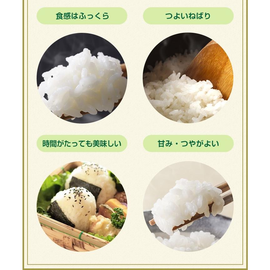 【新米】【8年産】佐賀県産 七夕コシヒカリ10kg（5kg×2袋)【米10kg 送料無料】【お米 10kg 送料無料】 | コシヒカリ | 09