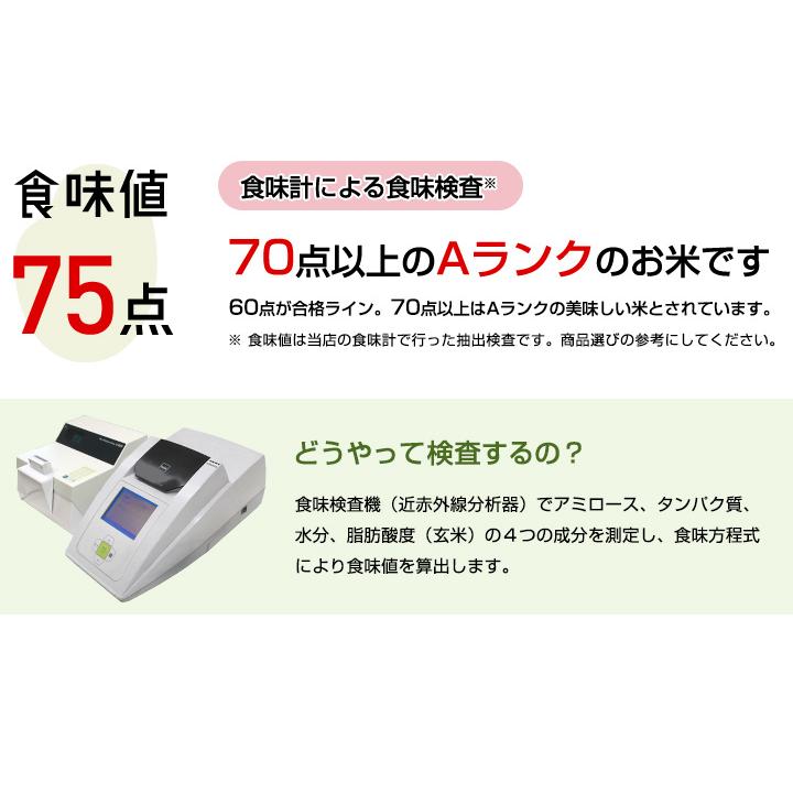 令和5年産　米 お米 10kg 送料無料 上場コシヒカリ 佐賀県産　令和5年度 5kg×2袋 こしひかり｜okomenohizenya｜08