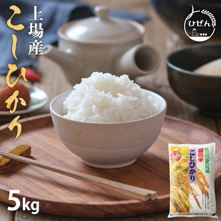 コシヒカリ 令和6年産 米 お米 5kg 送料無料 上場コシヒカリ コシヒカリ 令和6年産 米 お米 5kg 送料無料 上場コシヒカリ