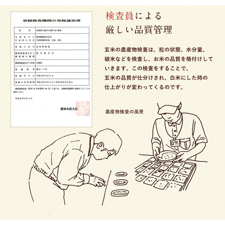 コシヒカリ 令和7年産 米 お米 2kg 送料無料 上場コシヒカリ 佐賀県産