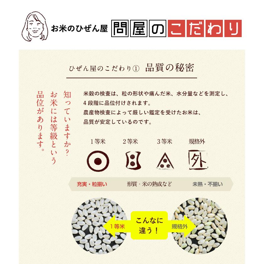 コシヒカリ 令和7年産 米 お米 2kg 送料無料 上場コシヒカリ 佐賀県産 
