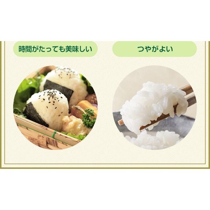 夢しずく 米 お米 20kg 送料無料 佐賀県産 7年度 5kg×4袋 : お米のひ
