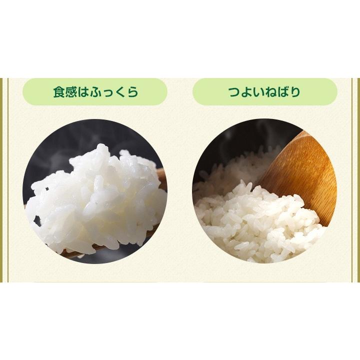 夢しずく 米 お米 20kg 送料無料 佐賀県産 7年度 5kg×4袋 : お米のひ