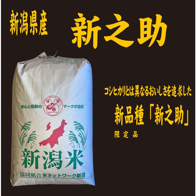 新之助 令和6年産新米 玄米30kg 送料無料 新潟県産新之助 : お米 新之助 令和6年産新米 玄米30kg 送料無料 新潟県産新之助 : お米